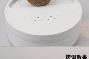 江河鲢鳙野钓饵料选择技巧（提升钓鲢鳙成功率的实用技巧）