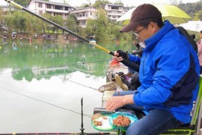 钓鱼王黑坑调漂技巧大揭秘（掌握这一关键技巧，成为钓鱼高手！）