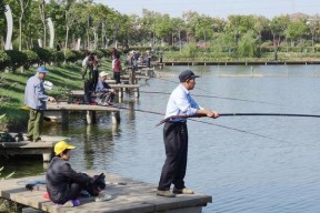 沙子沟水库钓鱼技巧与方法（探秘钓鱼沙子沟）