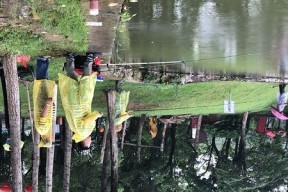 夏天下雨天钓鱼技巧（掌握钓鱼技巧）