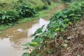 钓鱼技巧（山溪钓鱼）