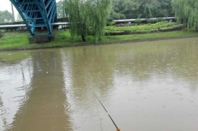 四季下雨钓鱼技巧（探秘雨中钓鱼的妙招）