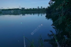 春季水库夜钓打窝技巧（夜钓打窝的关键技巧）