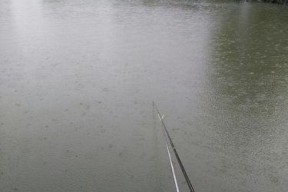 雨天池塘钓鱼方法与技巧（掌握雨天下钓鱼的窍门）