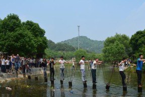 梅花桩钓鱼的技巧与方法（从入门到精通）