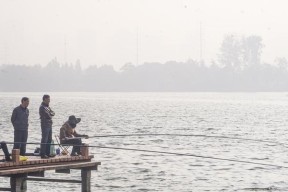 老人河边钓鱼的乐趣（细说老人钓鱼的技巧与心得）