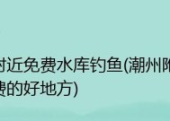 东海岸钓鱼技巧揭秘（从垂钓技巧到鱼群行踪，让你成为东海岸的钓鱼高手）