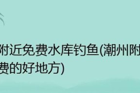 东海岸钓鱼技巧揭秘（从垂钓技巧到鱼群行踪，让你成为东海岸的钓鱼高手）