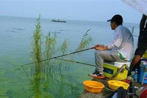 水潭野钓看漂技巧（掌握看漂方法）