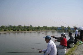 秋季大河水库钓鱼技巧（享受钓鱼乐趣）