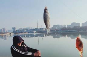 放生钓鱼技巧教程（掌握成功放生钓鱼的窍门）