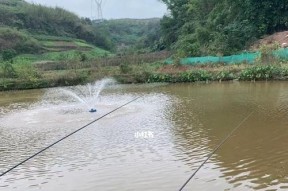 湖南鱼塘钓鱼技巧（掌握钓鱼技巧）