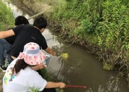 水渠边钓鱼的技巧与经验（探秘水渠钓鱼的窍门）