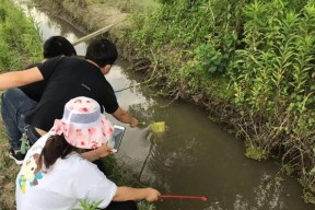 水渠边钓鱼的技巧与经验（探秘水渠钓鱼的窍门）