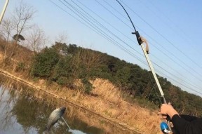 新水域钓鱼技巧教学（钓鱼技巧）