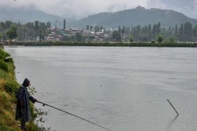 河道闸口钓鱼技巧法（掌握钓鱼技巧）