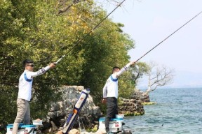 死水野塘野钓技巧（小面积塘池钓鱼心得分享）