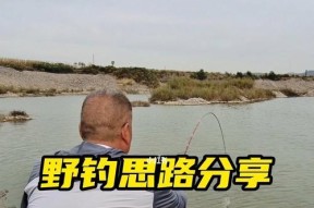 秋季河流野钓鱼技巧（享受秋日河流钓鱼乐趣的秘诀）