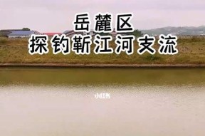 水库支流钓鱼技巧（提高钓鱼成功率的实用技巧）