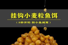 抛竿钓鱼饵料挂钩技巧（掌握正确的饵料挂钩技巧，成为优秀的钓鱼者）