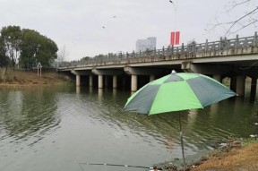 秋季大雨中钓鱼技巧教程（钓鱼技巧）