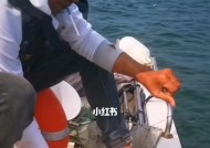 新型船出海钓鱼技巧（掌握高效的海钓技巧）