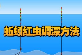 垂钓技巧教程（学会调漂，让钓鱼更加准确，快速获得丰硕的收获）