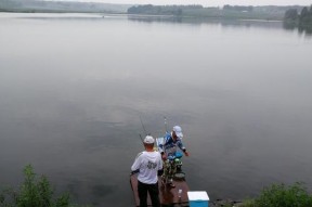 秋后雨季钓鱼技巧（探秘湖泊钓鱼乐趣）