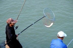 海水湖钓鱼技巧（掌握技巧）