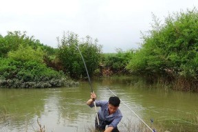 河道混水钓鱼的技巧大揭秘（掌握绝技）