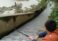 夏季暴雨中垂钓技巧（应对夏季暴雨中的垂钓挑战）