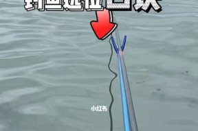 探秘河道码头钓鱼技巧（捕获丰富渔获）