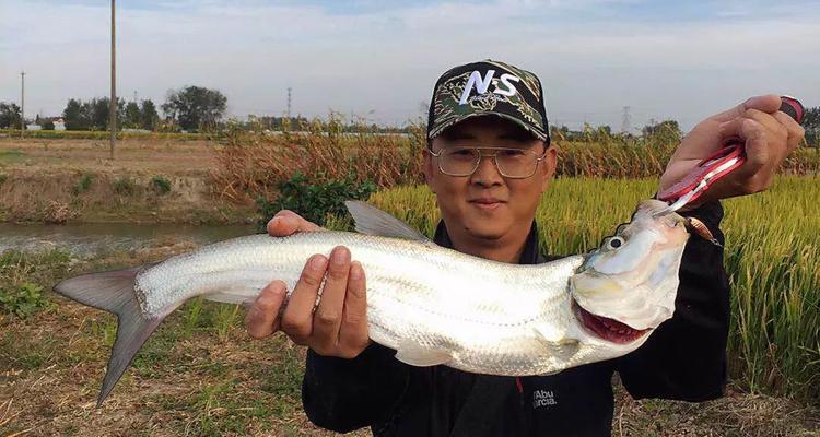 冬季岸边钓翘嘴技巧（寒冬之际，岸边钓翘嘴的绝佳技巧）  第2张