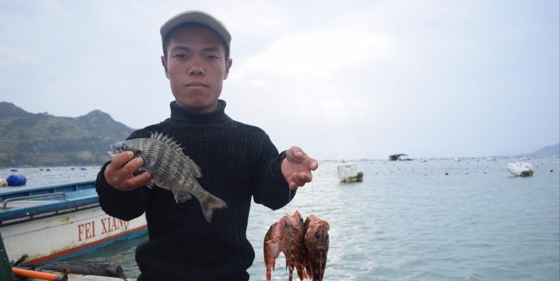 平潭岸边矶钓黑鲷技巧（探索平潭岸边矶钓的窍门，提升钓黑鲷的成功率）  第2张