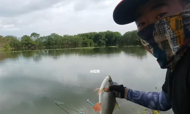 暴雨过后的钓鱼技巧（挑战下雨天，提高钓鱼成功率）  第2张