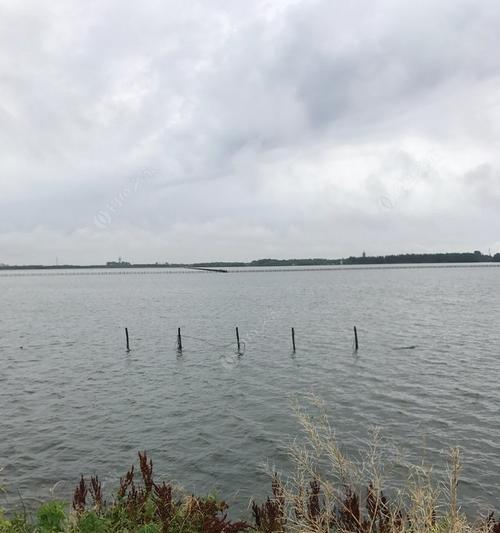 暴雨过后的钓鱼技巧（挑战下雨天，提高钓鱼成功率）  第3张