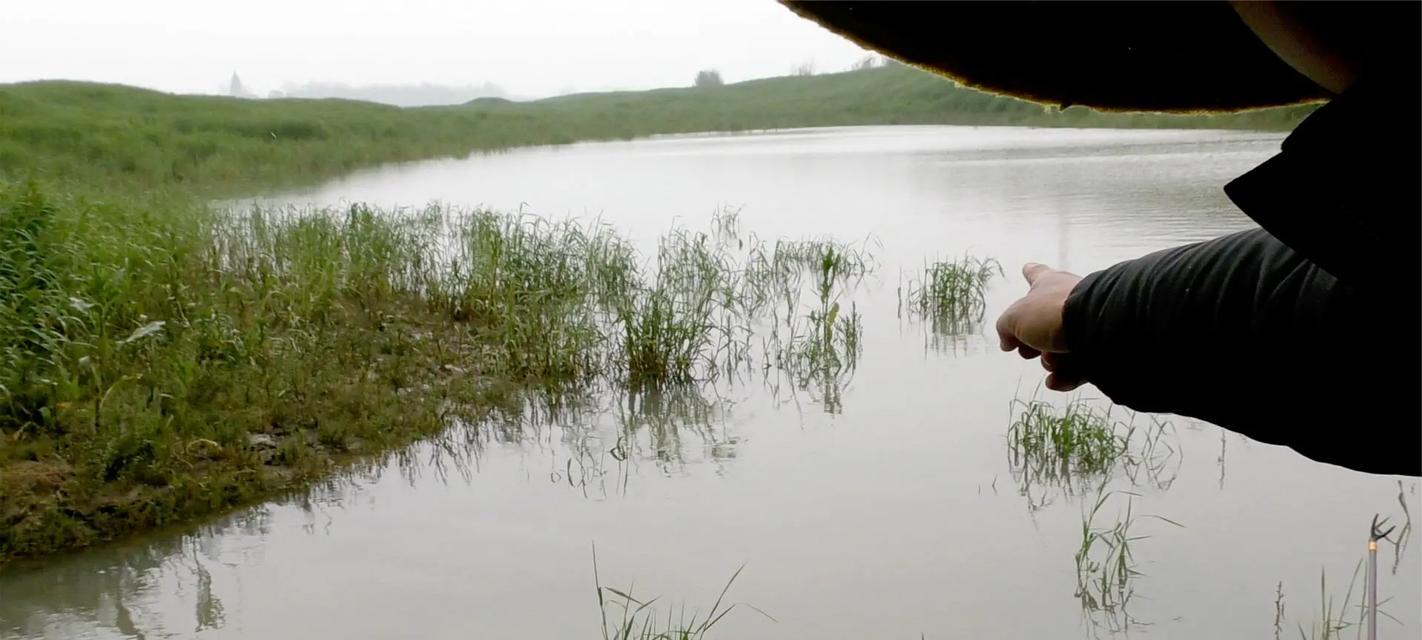 暴雨浑水钓鱼技巧（掌握钓鱼技巧乘暴雨大丰收）  第2张