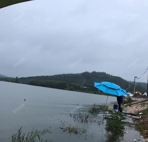 暴雨水库钓鱼技巧（以暴雨水库为舞台，挑战极限，体验极致钓鱼乐趣）  第3张