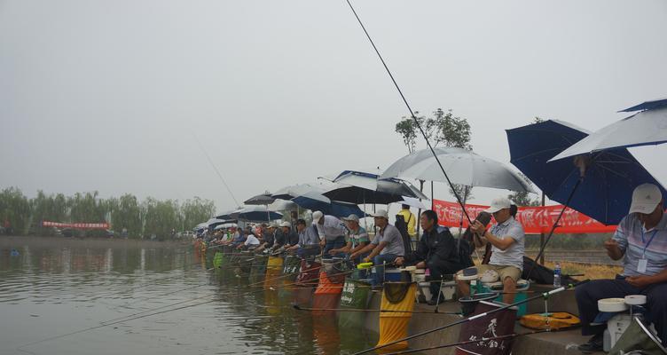 圣地钓鱼技巧大揭秘（掌握钓鱼技巧，爆护圣地成鱼王）  第2张