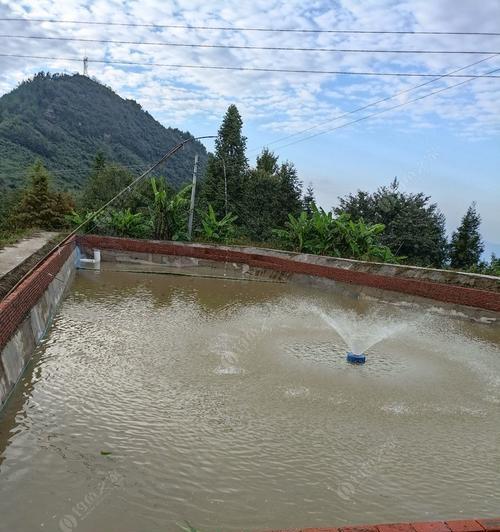 北方池塘水深钓鱼技巧（探秘北方池塘水深钓鱼的窍门与技巧）  第1张