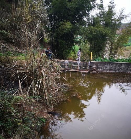 北方池塘水深钓鱼技巧（探秘北方池塘水深钓鱼的窍门与技巧）  第2张