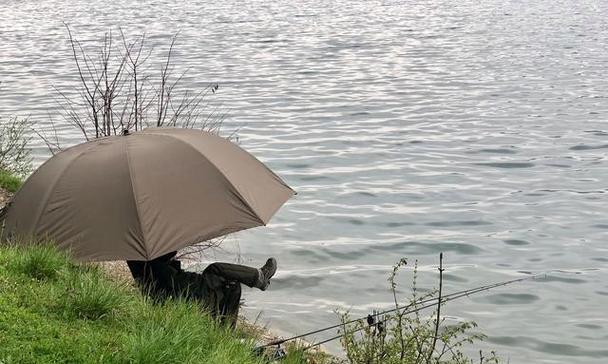 北方冬雨天野钓鲤鱼的技巧与方法（揭秘北方冬雨天野钓鲤鱼的窍门，助你丰富钓鱼经验！）  第2张