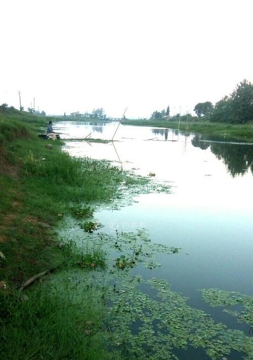 北方河沟野钓技巧（掌握这些技巧，让你在北方河沟野钓中游刃有余）  第1张