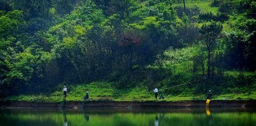 北方平原湖泊钓鱼技巧（探秘北方平原湖泊的丰富钓鱼资源）  第2张