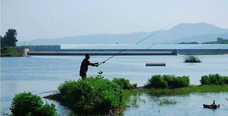 北方深秋野外钓鱼技巧（体验北方深秋的鱼儿狂欢，钓鱼技巧大公开！）  第2张