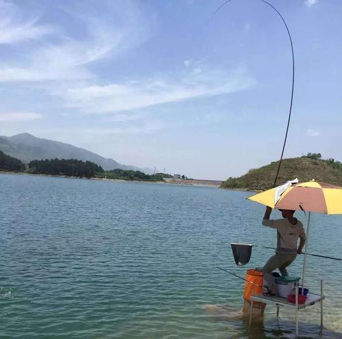 北方水库立夏钓鱼技巧（掌握立夏后的水库钓鱼技巧，让你大获丰收！）  第2张