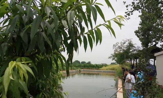 北方水库立夏钓鱼技巧（掌握立夏后的水库钓鱼技巧，让你大获丰收！）  第3张