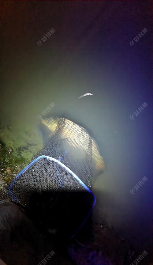 北方夜钓鲤鱼的方法技巧（夜钓鲤鱼，享受北方湖泊的宁静夜晚）  第2张