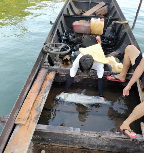 北海排污沟钓鱼技巧（钓鱼技巧揭秘，让您在北海排污沟大获成功！）  第3张