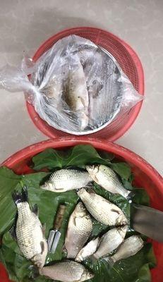 北江钓鱼的绝佳技巧（探秘北江钓鱼的最佳方法，助您获得丰富的收获）  第1张